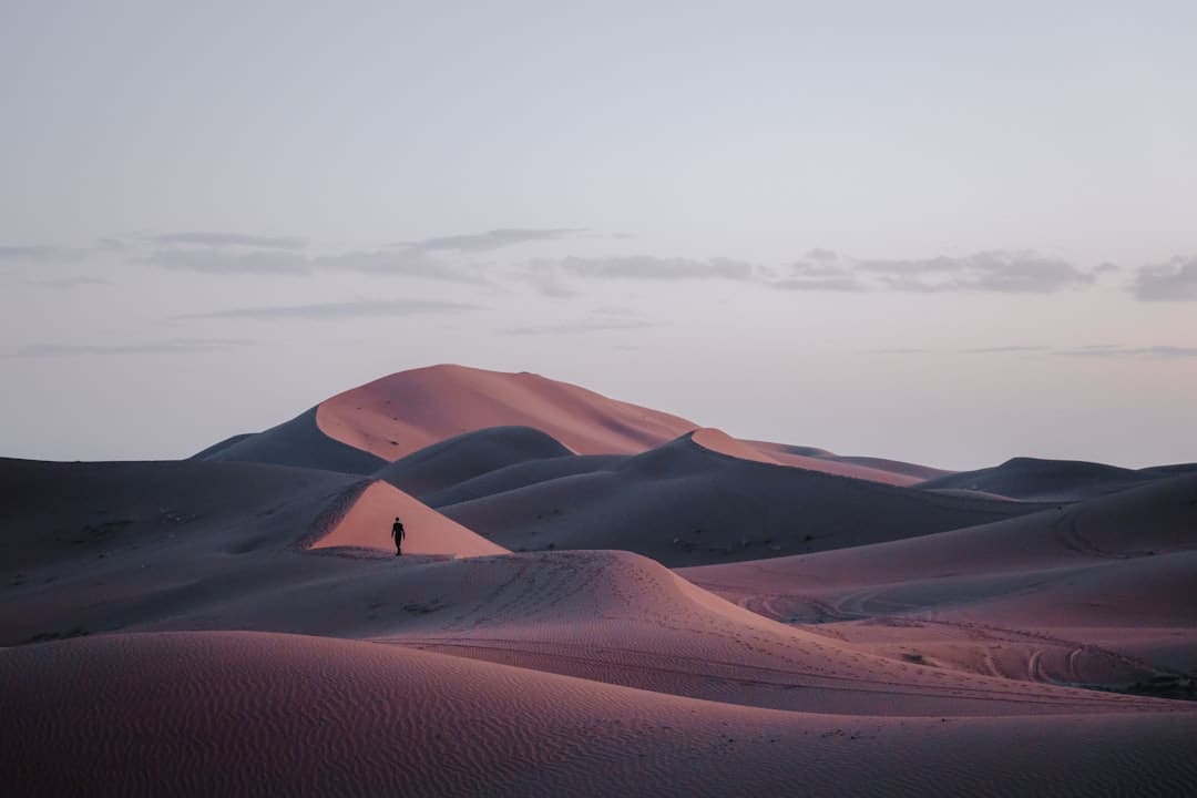 李敖:我眼中的许倬云